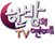 한밤의 TV연예
